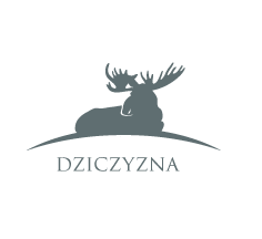Dziczyzna